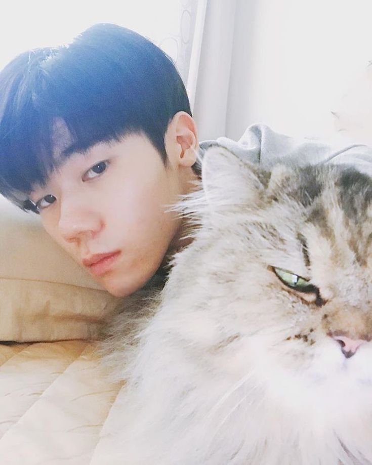 80 likes 0 comments newkidd jiann choi jiann on 80 likes 0 comments newkidd jiann choi jiann on