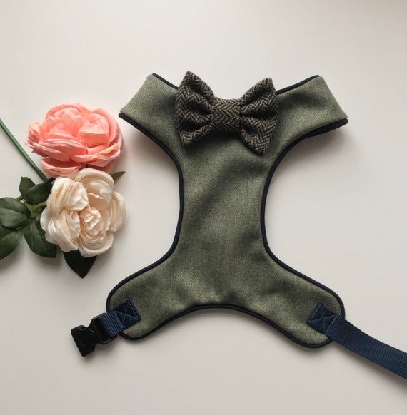 Limited Edition Green Tweed Dog Harness Luxury Dog Harness