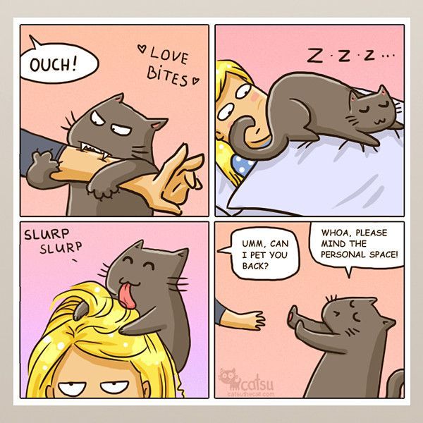 Pin De Pleasant Surprises En Tierisch Gut Drauf Lenguaje De Los Gatos Humor De Gatos Comics De Gato