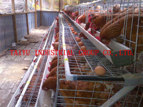 The 25+ best Poultry house ideas on Pinterest | Chicken coops ... The 25+ best Poultry house ideas on Pinterest | Chicken coops ...