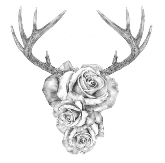 best 25 deer head tattoo ideas on pinterest elk tattoo antler best 25 deer head tattoo ideas on pinterest elk tattoo antler