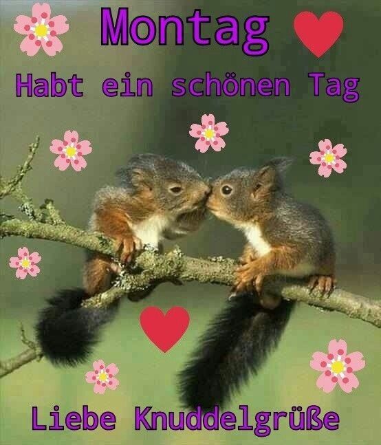 Schönen montag bilder kostenlos
