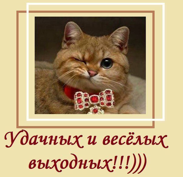 Прикольные открытки веселых выходных