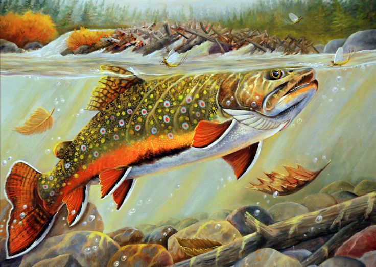 stamp design brook trout by richard goodkind tattoo stamp design brook trout by richard goodkind tattoo