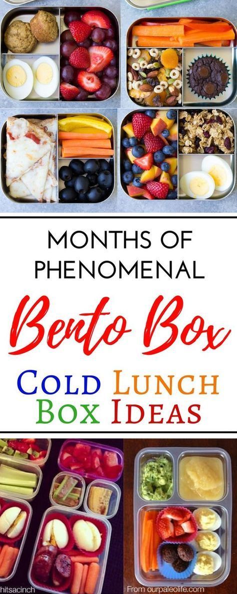 Creative Cold School Lunch Box Ideas For Picky Eaters