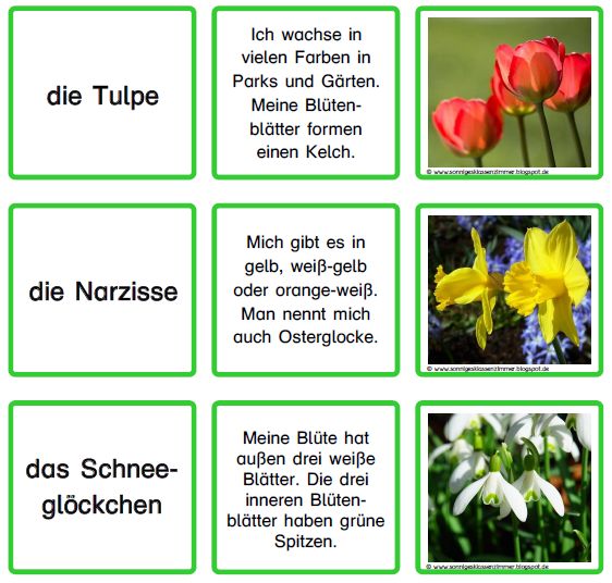 Kennenlernen 5. klasse