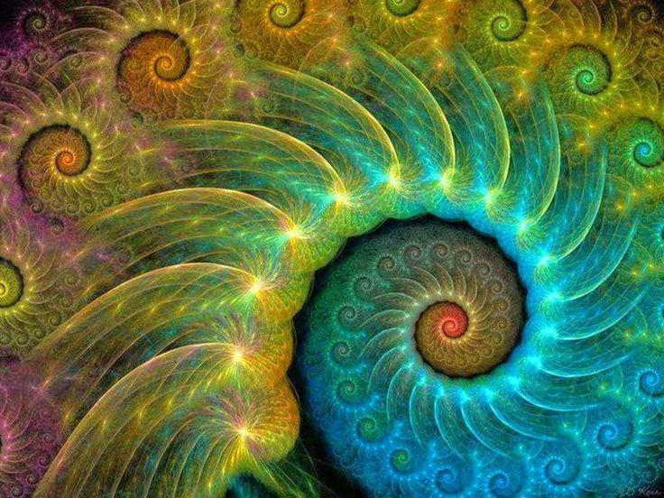 fibonacci sequence spiral art fibonacci sequence spiral art