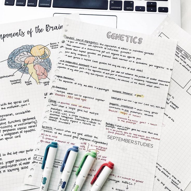 n o t e s written on my ipad and printed on muji looseleaf paper if you have the smaller muji looseleaf apuntes de clase cuaderno de tareas como estudiar