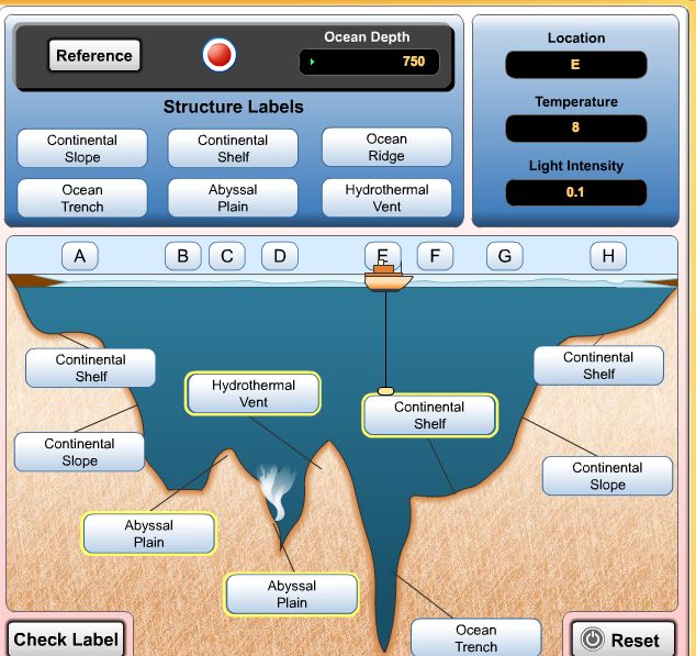 Interactive Ocean Floor Matching - 37f9343ebc24f9f7c5486ce544055cc2