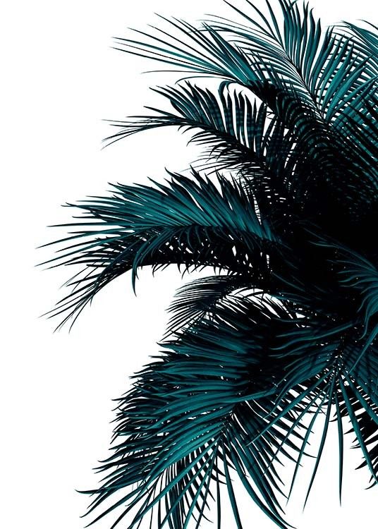 green palm tree poster no grupo posters tamanhos 70x100cm em