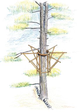 Build Easy Treehouse Plans Diy Pdf Buliding For A Wood Frame Build Easy Treehouse Plans Diy Pdf Buliding For A Wood Frame Hot House Tree Houses Designs