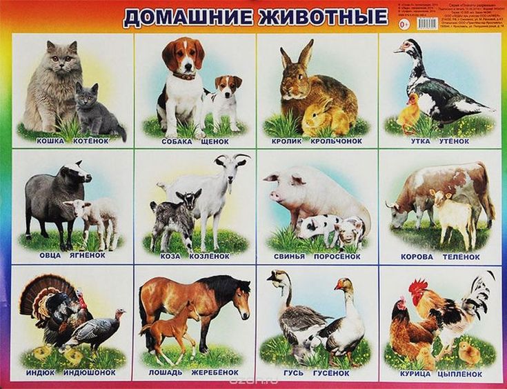 конопля с животными картинки конопля с животными картинки