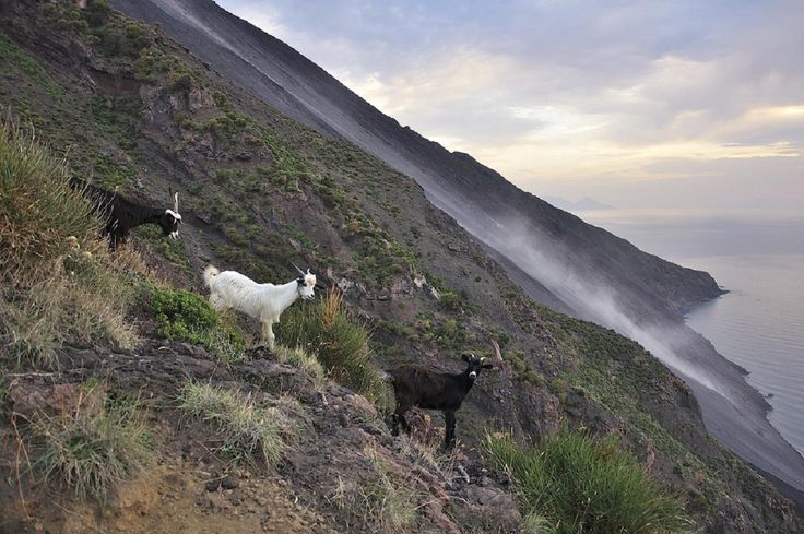Stromboli Island , Volcano .village Sicily Aeolian islands, Sicily