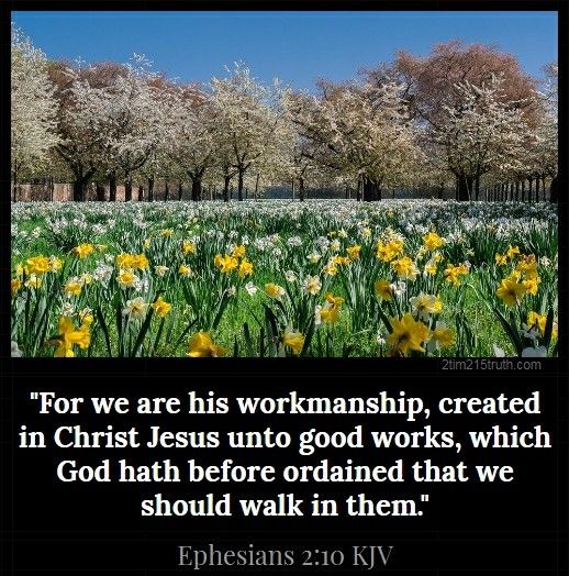 Ephesians 2:10 (KJV) | Ephesians 2 10, Kjv, King james bible