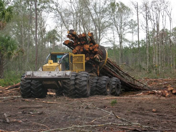 logger equipment