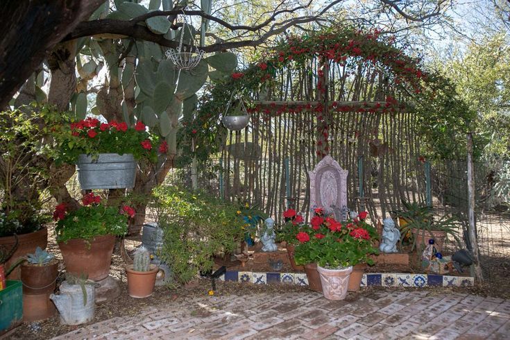 Tucson Couple S Landscape Draws From Barrio Influences In 2020