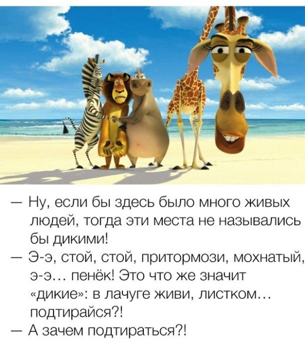 Прикольные Фото Персонажей Прикольные Фото Персонажей