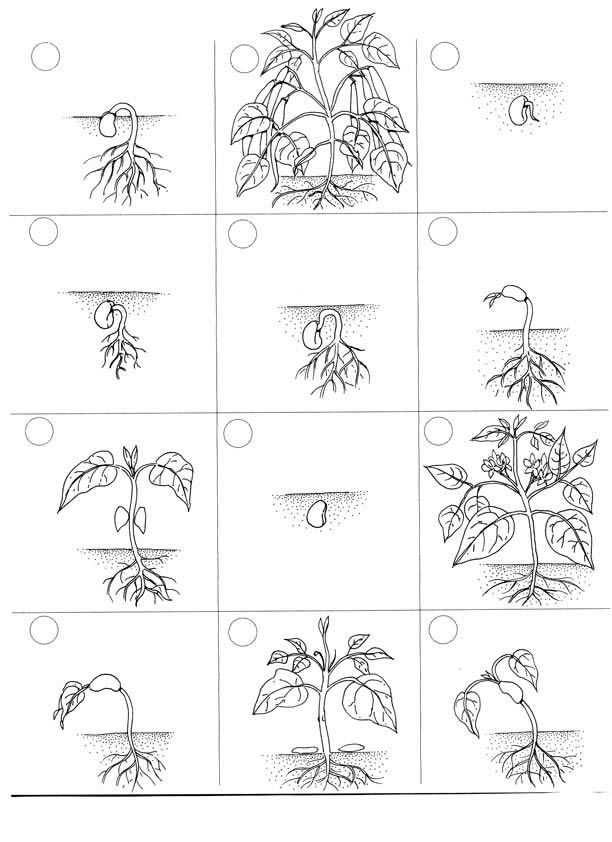 231 Best K 246 Rnyezet Images On Pinterest Kindergarten Learning And Preschool Flip Book Template Pdf