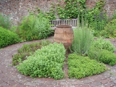 the 25+ best small herb gardens ideas on pinterest | indoor herbs the 25+ best small herb gardens ideas on pinterest | indoor herbs