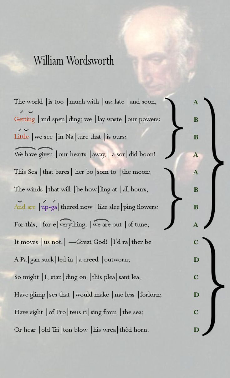 The world is too much with us essay