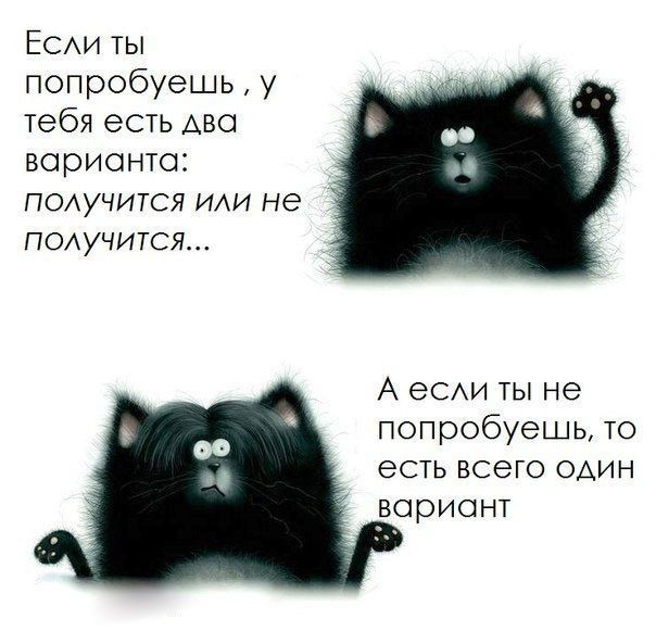 Смешные картинки все у нас получится