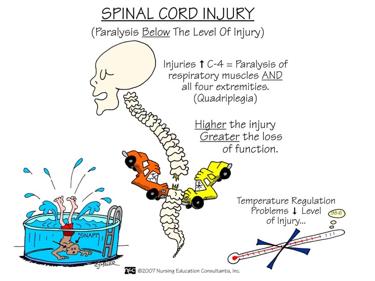 501 Best Nursing Images On Pinterest Nursing Students