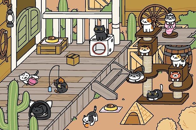 neko atsume game house neko atsume game house