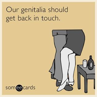 flirting memes sarcastic quotes tumblr images flirting memes sarcastic quotes tumblr images