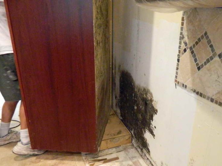 Mold In Bathroom Cabinet best 20+ remove black mold ideas on pinterest | shower mold Mold In Bathroom Cabinet best 20+ remove black mold ideas on pinterest | shower mold
