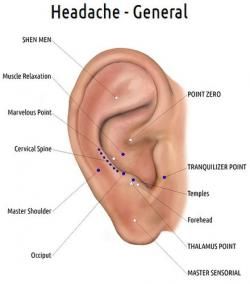 ear diagram nogier diagram headache piercing daith ear piercing chart for anxiety