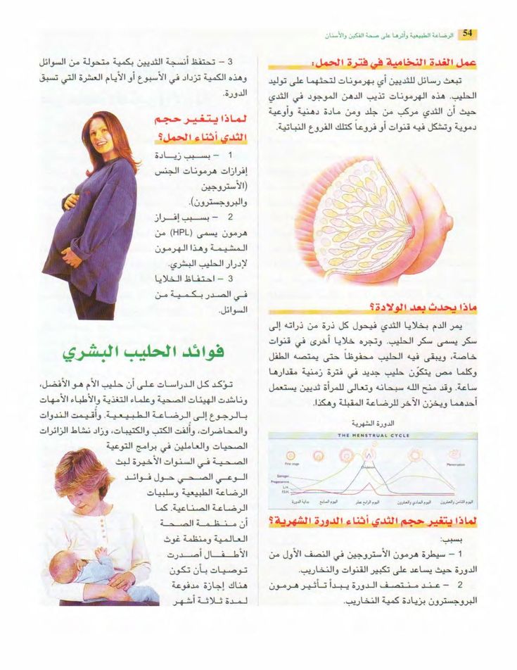 الأسنان و الصحة Free Download Borrow And Streaming Internet Archive Internet Archive The Borrowers Free