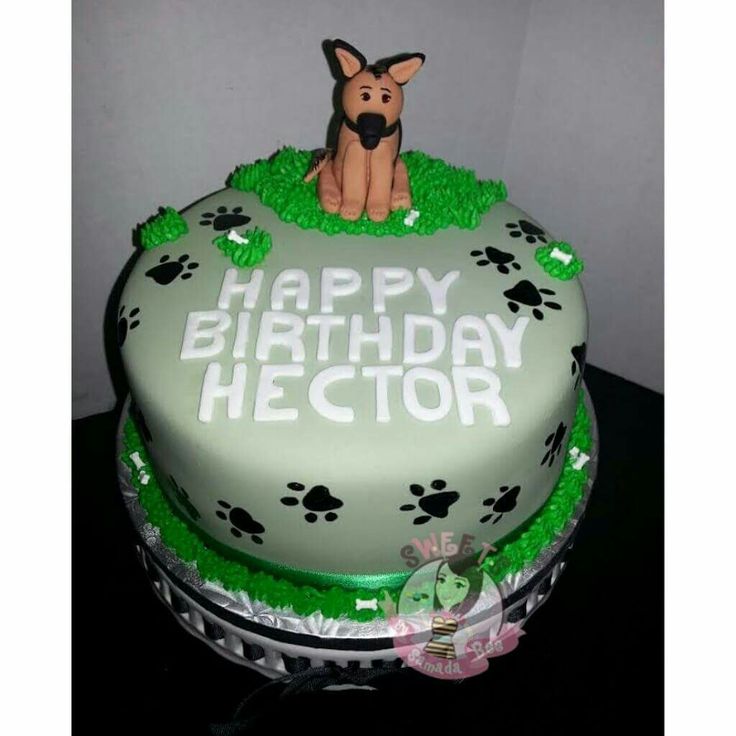 Dog Birthday Cakes Shipped Dog Birthday Cakes Shipped