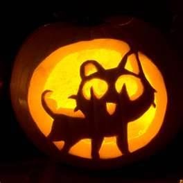 best 25 cute pumpkin carving ideas on pinterest pumpkin carving ideas diy halloween outdoor fall decorations and pumpkin ideas - Cool Halloween Carvings best 25 cute pumpkin carving ideas on pinterest pumpkin carving ideas diy halloween outdoor fall decorations and pumpkin ideas - Cool Halloween Carvings