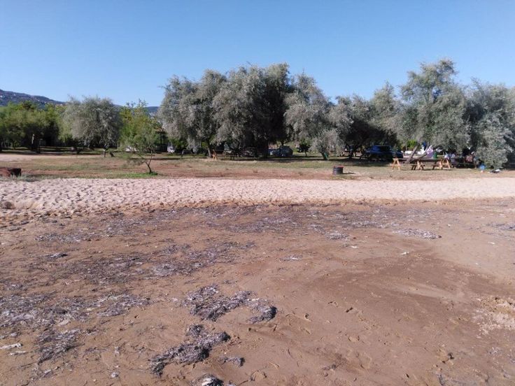 aldirmaz camping erdek balikesir kamp alanlari geziyoo co 2021 kamp plaj aldirmaz camping erdek balikesir kamp alanlari geziyoo co 2021 kamp plaj