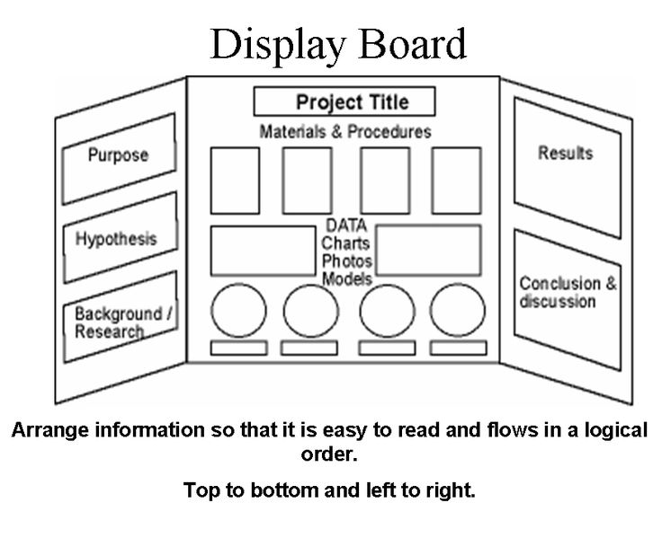 science projects layout