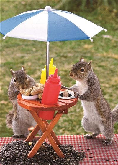 Lunch Time 60 Piece Jigsaw Puzzle