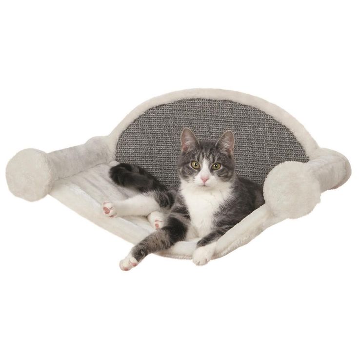 Trixie Pet Products Wall Mounted Cat Lounging Set Trixie Https Www Amazon Com Dp B01ik50rli Ref Cm Sw R Pi Dp X Xb05 Cat Lounge Cat Tree Designs Cat Wall