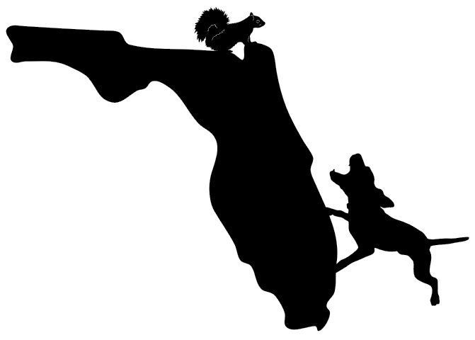Squirrel Hunting Florida State Decal Outdoor Hunting Sticker