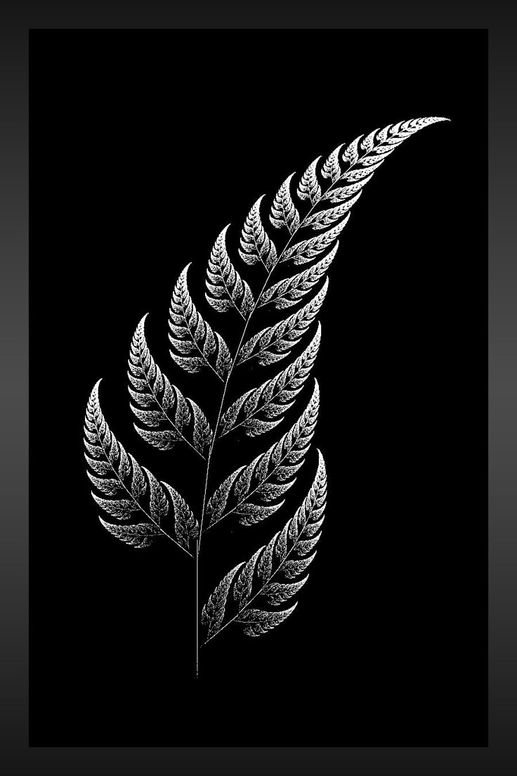 best 25 new zealand tattoo ideas on pinterest koru tattoo new best 25 new zealand tattoo ideas on pinterest koru tattoo new