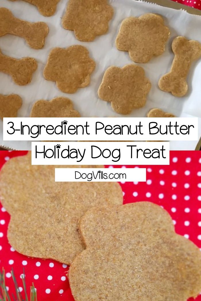 Easy 3 Ingredient Peanut Butter Holiday Dog Treat Your Pup Is