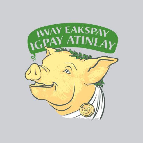 learn how to speak pig latin