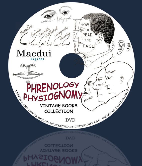 book International Bibliography of