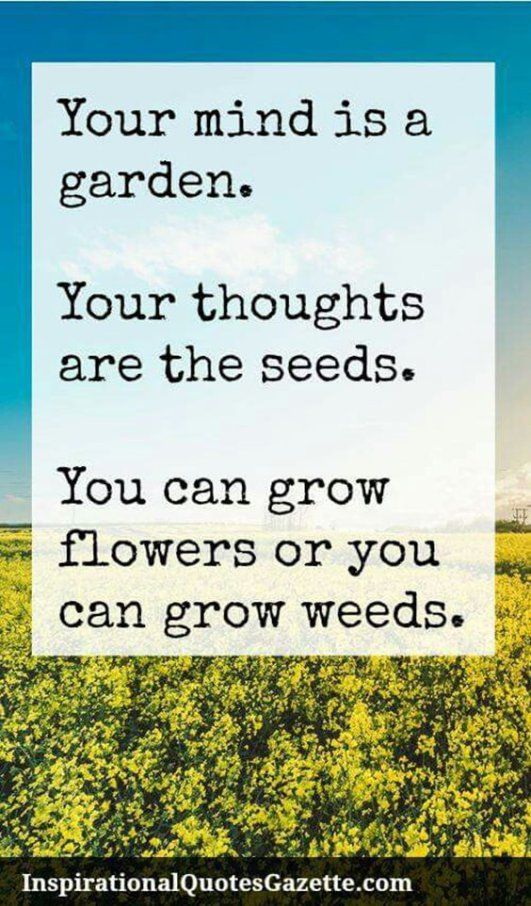Great Spiritual Quotes About Life Entrancing The 25 Best Spirituality Quotes Ideas On Pinterest Buddhism Great Spiritual Quotes About Life Entrancing The 25 Best Spirituality Quotes Ideas On Pinterest Buddhism