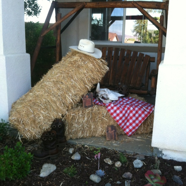 25 Best Country Theme Party Ideas Images On Pinterest Country Western Party
