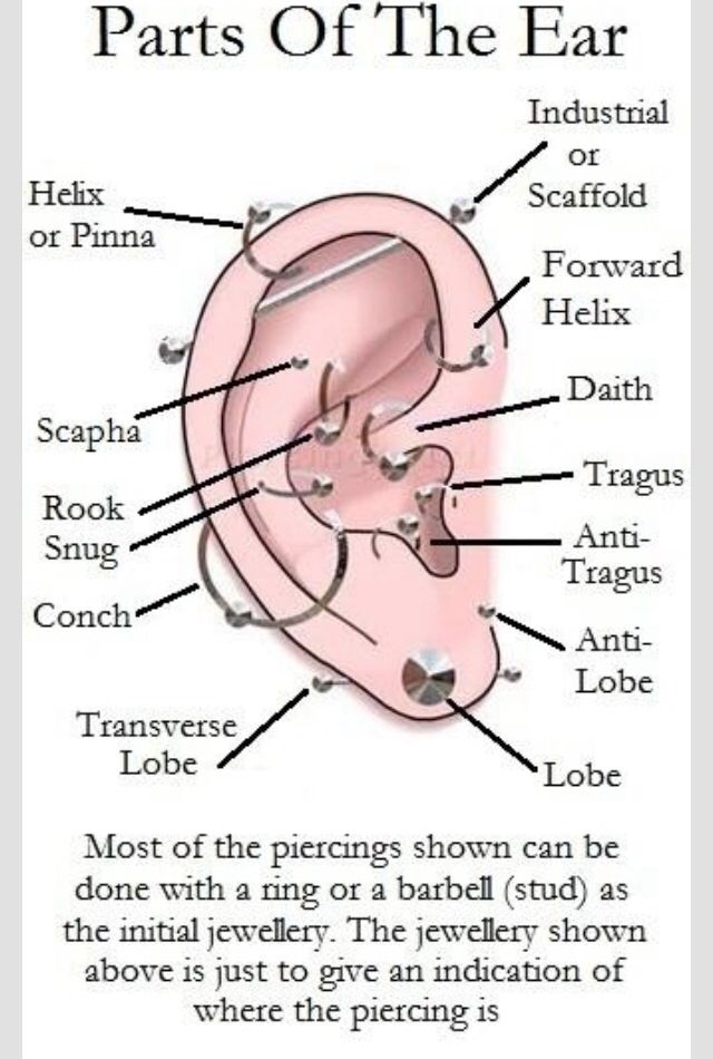 ear piercings types diagram best 25 ear piercing diagram ideas on ear ear piercings types diagram best 25 ear piercing diagram ideas on ear