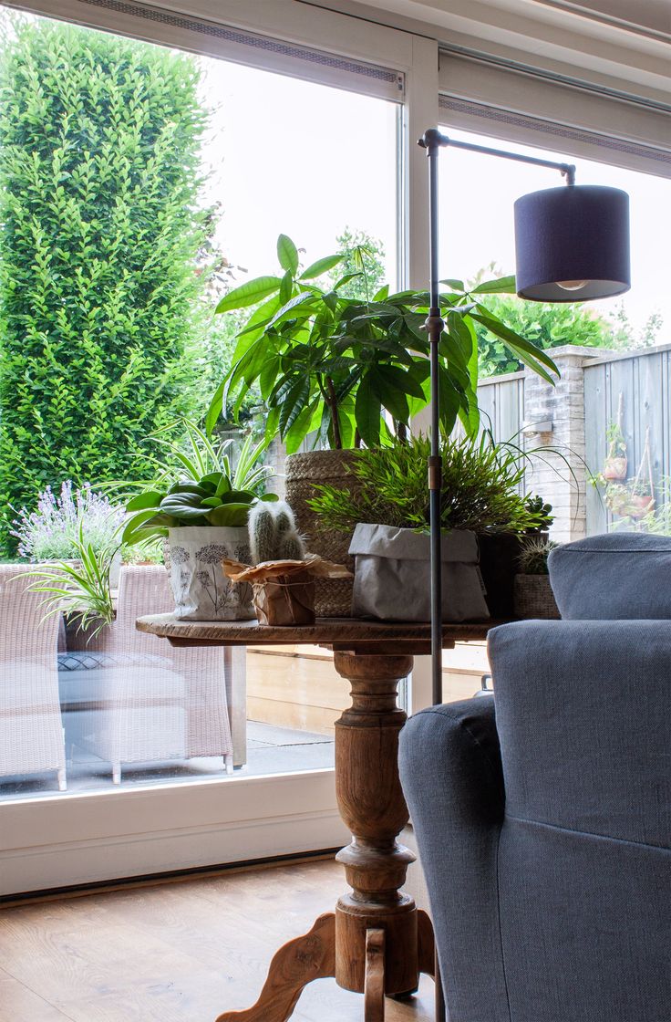 623 best decorating w/ houseplants images on Pinterest | House ... 623 best decorating w/ houseplants images on Pinterest | House ...
