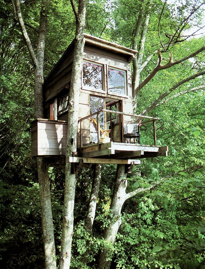 Tree House Plans For Adults 222 best tree house images on pinterest | treehouses, architecture Tree House Plans For Adults 222 best tree house images on pinterest | treehouses, architecture
