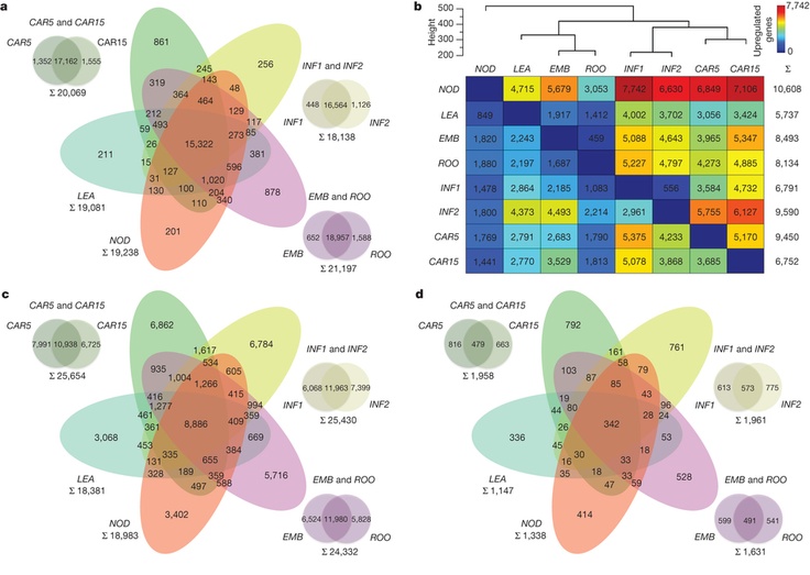 12 best Genetics images on Pinterest Ap biology, Biology lessons - new blueprint gene expression 12 best Genetics images on Pinterest Ap biology, Biology lessons - new blueprint gene expression