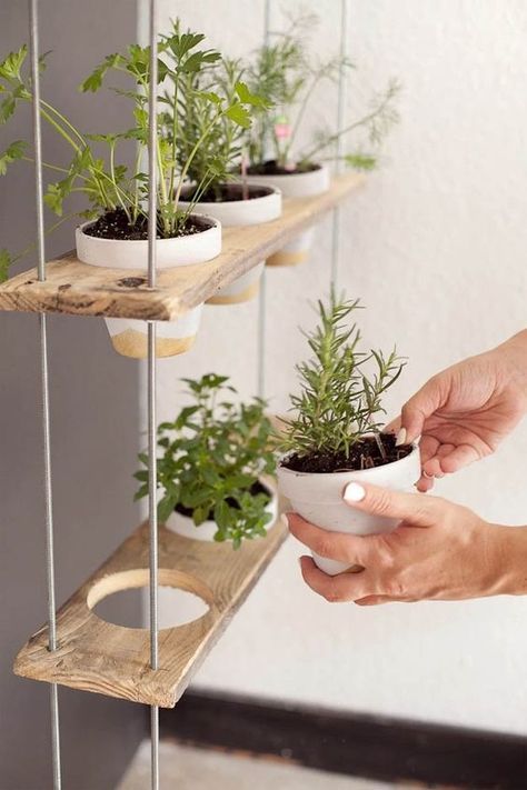 Der kleine hängende Kräutergarten in der Küche #Wohnidee Der kleine hängende Kräutergarten in der Küche #Wohnidee