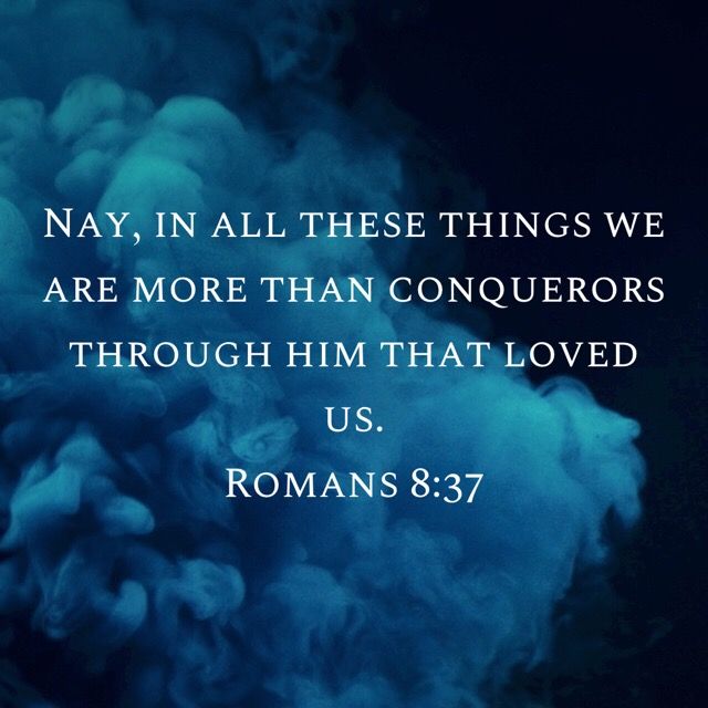 Pin by LaDyPam🌻WiNdoWs In LiFe on My devotional | Bible apps, Romans, King james version